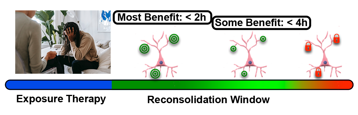 Synergy_w_therapy_large